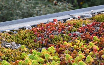 the cost of Gillow Heath green roof installation