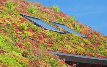 Gillow Heath living roof systems