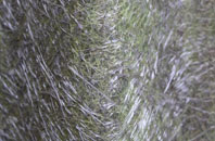 Gillow Heath fibreglass roof work